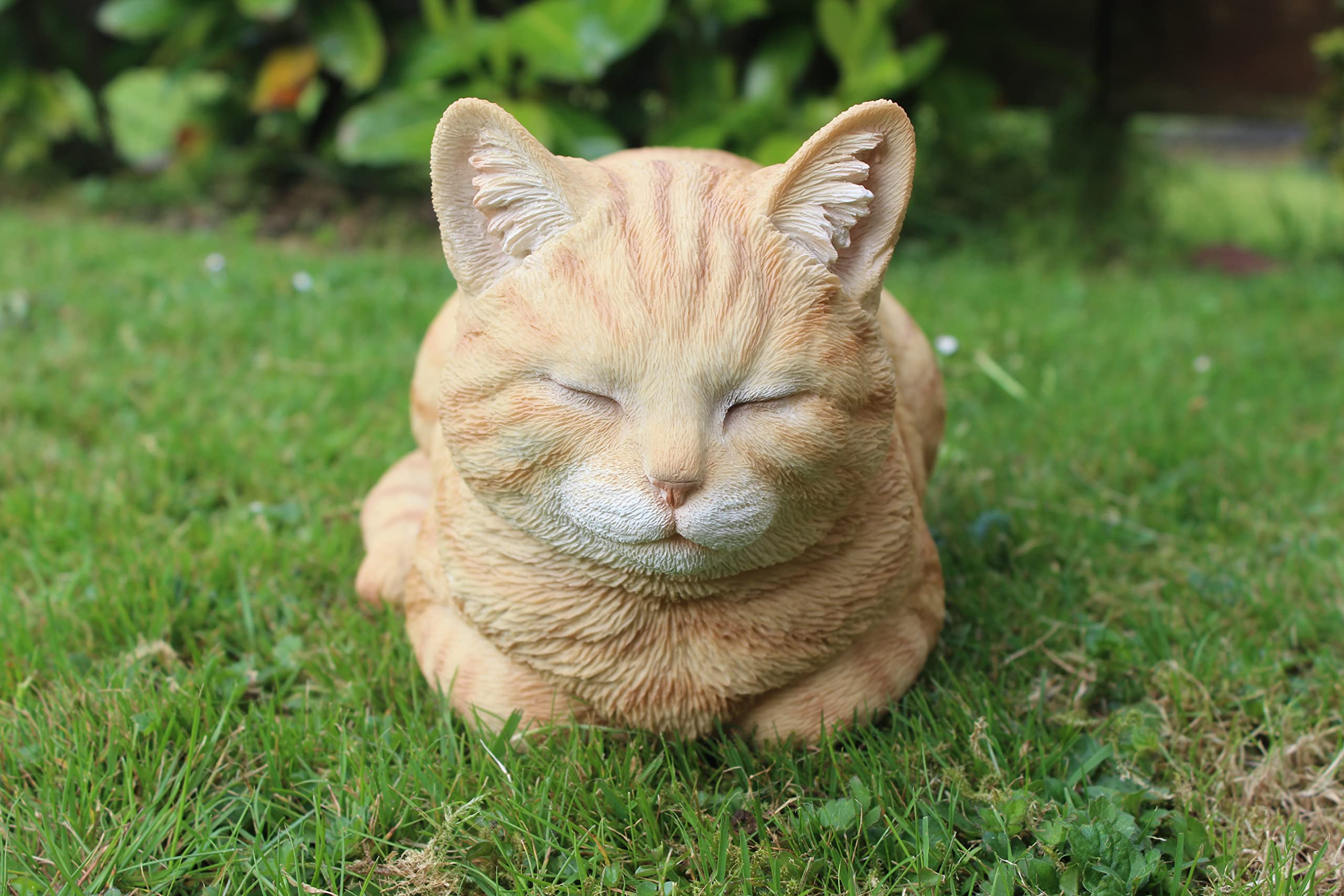 Vivid Arts Ginger Dreaming Cat Resin Ornament | Indoor Outdoor Decor