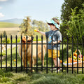 Thealyn Metal Garden Fence – 5-Panel No-Dig Wrought Iron Dog Barrier