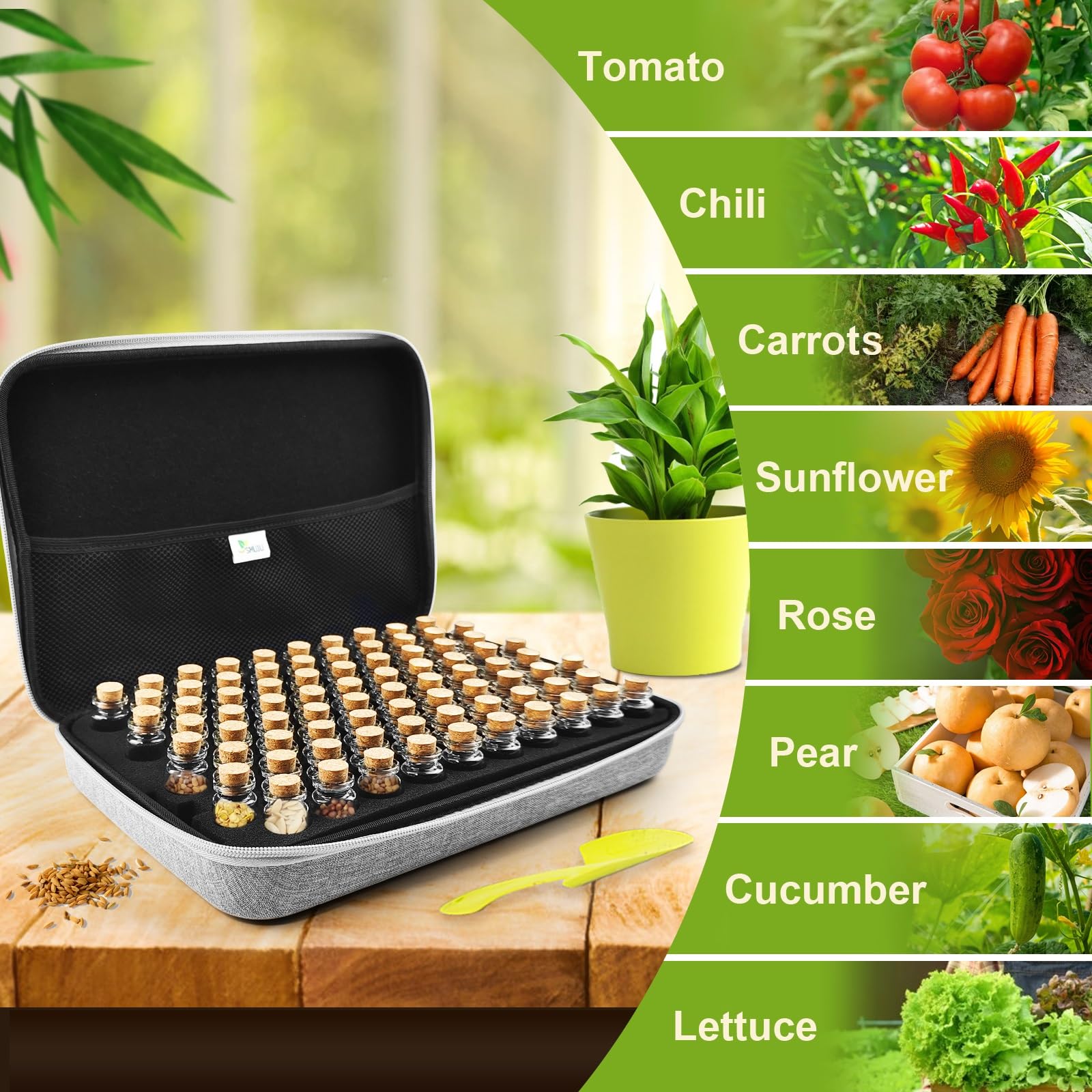 SMUJU 80 Slots Seed Storage Box | Glass Vials & Oxford Case Organiser