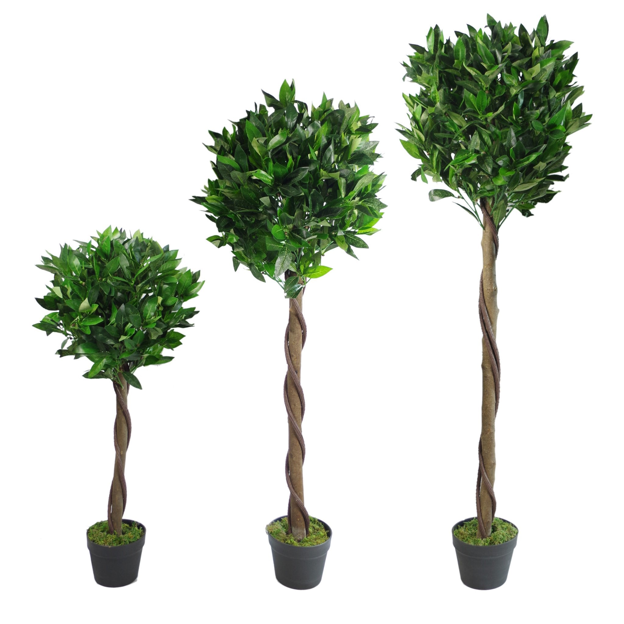 Leaf Pair of Artificial Bay Laurel Ball Trees, Green Twist, 120cm (4ft)