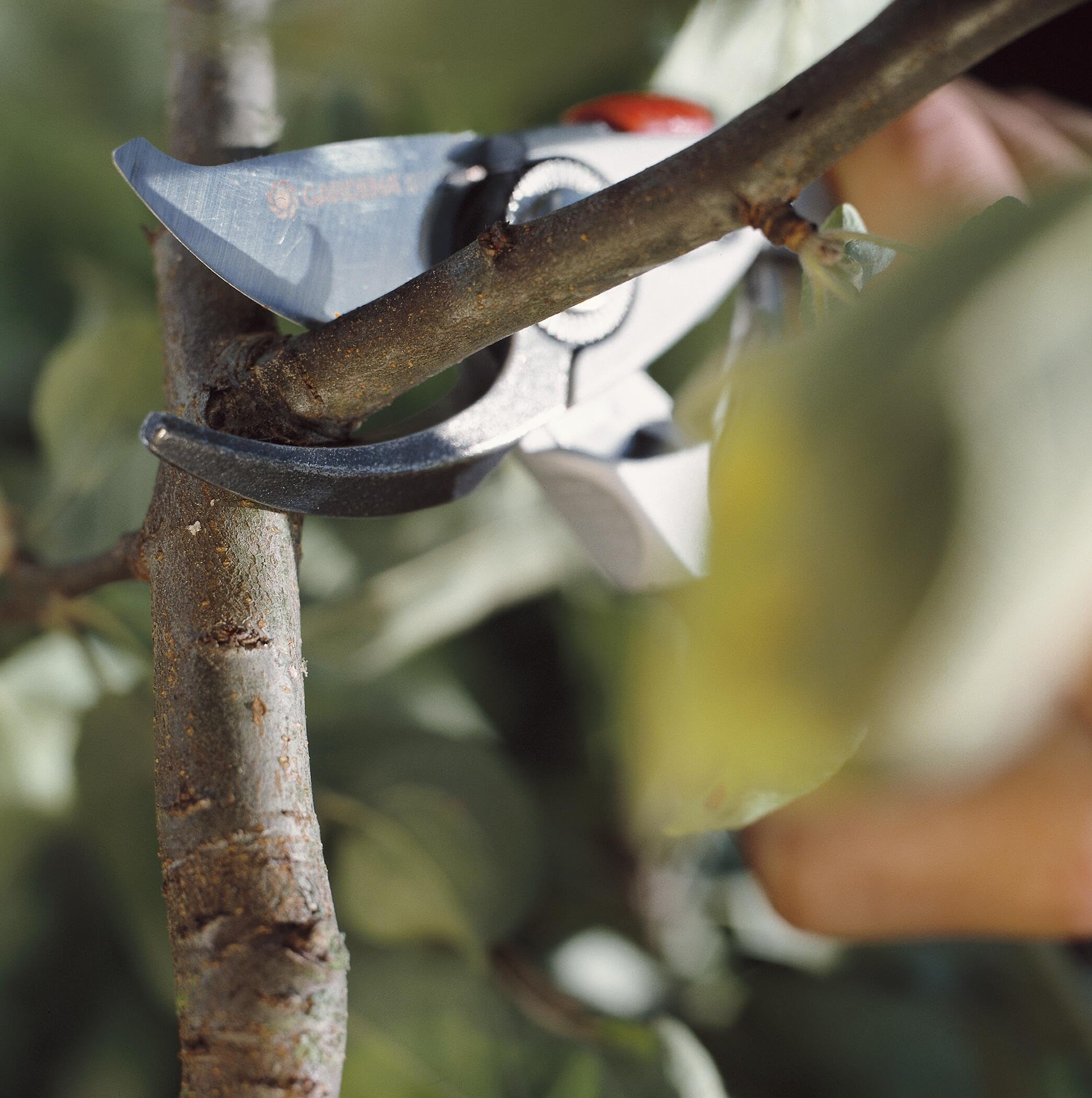 Gardena Premium Secateurs B+/L | Bypass Garden Shears with 24mm Cut