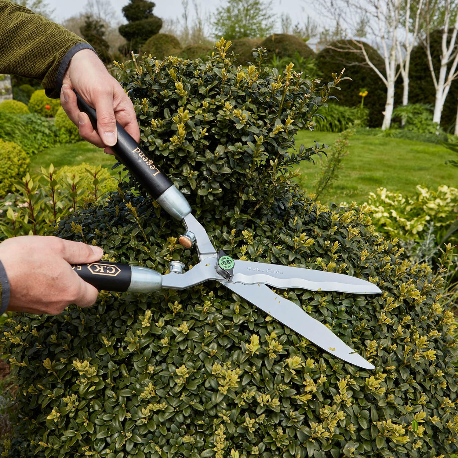 C.K Classic Legend Golden Hedge Shears – Wavy Edge Forged Steel