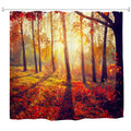 Jolof Store Fall Forest Shower Curtain | Waterproof Polyester, 72x72 Inch