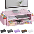 Pygocereri Monitor Stand Riser with Drawer and Pen Holders - Pink