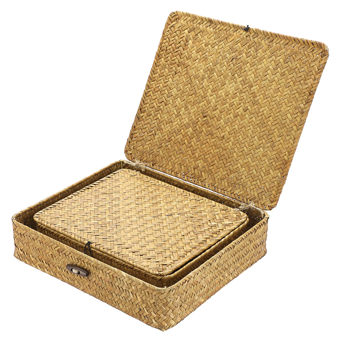 IGNPION Set of 2 Seagrass Storage Basket with Lid Flat Organiser Baskets for Shelf - image 5