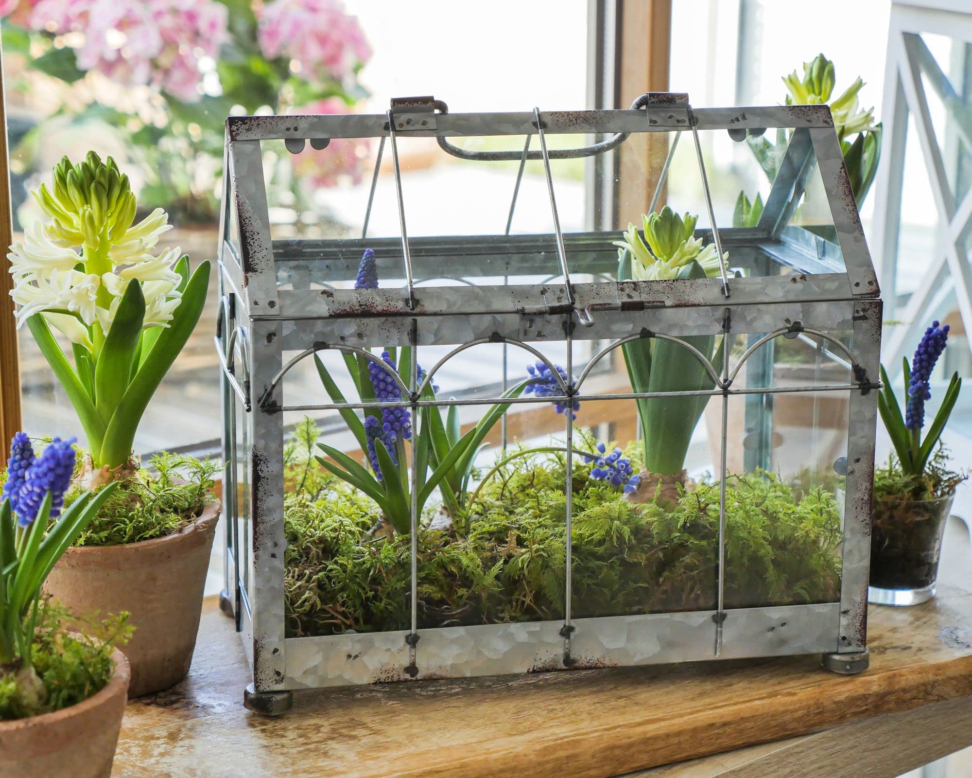 Esschert Design Small Iron & Glass Greenhouse with Lockable Lid