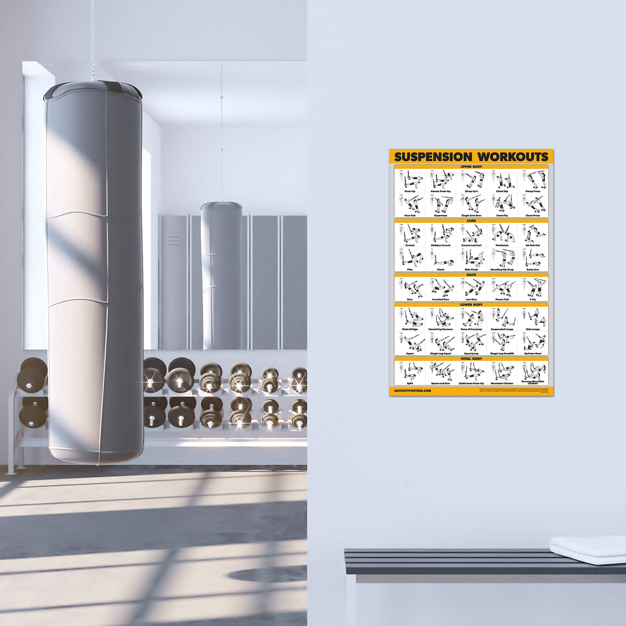10 Pack Exercise Workout Poster Set – Laminated 18" x 24"