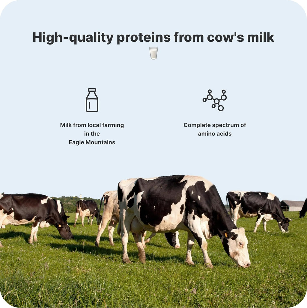 High Protein Milkshake – Low Lactose Vanilla (12x330ml)