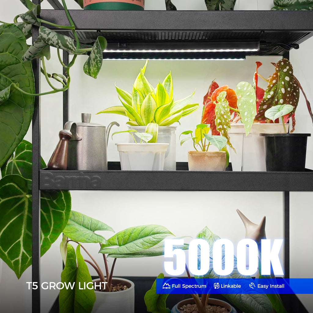 Barrina T5 1FT LED Grow Lights | 5000K Full Spectrum 30W Black 6-Pack