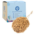 Jordan Benedict Natural Sea Sponge | Unbleached Honeycomb Bath Sponge