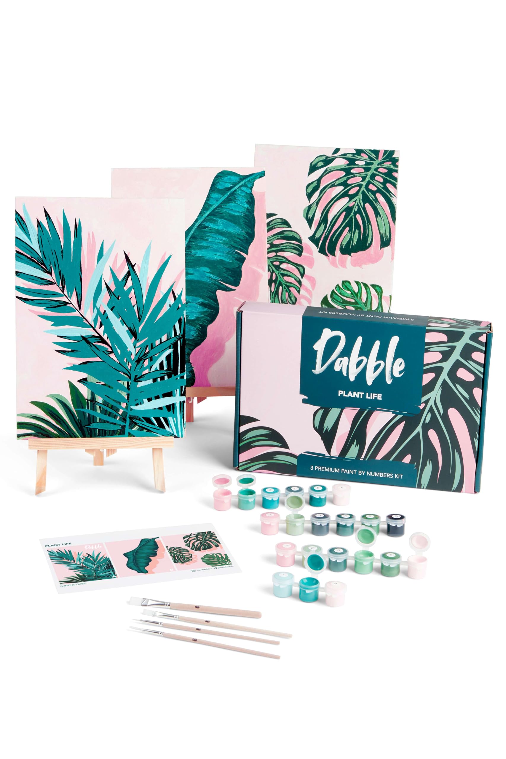 Dabble Paint by Numbers Kits for Adults - 3 Pack Floral Canvas Set
