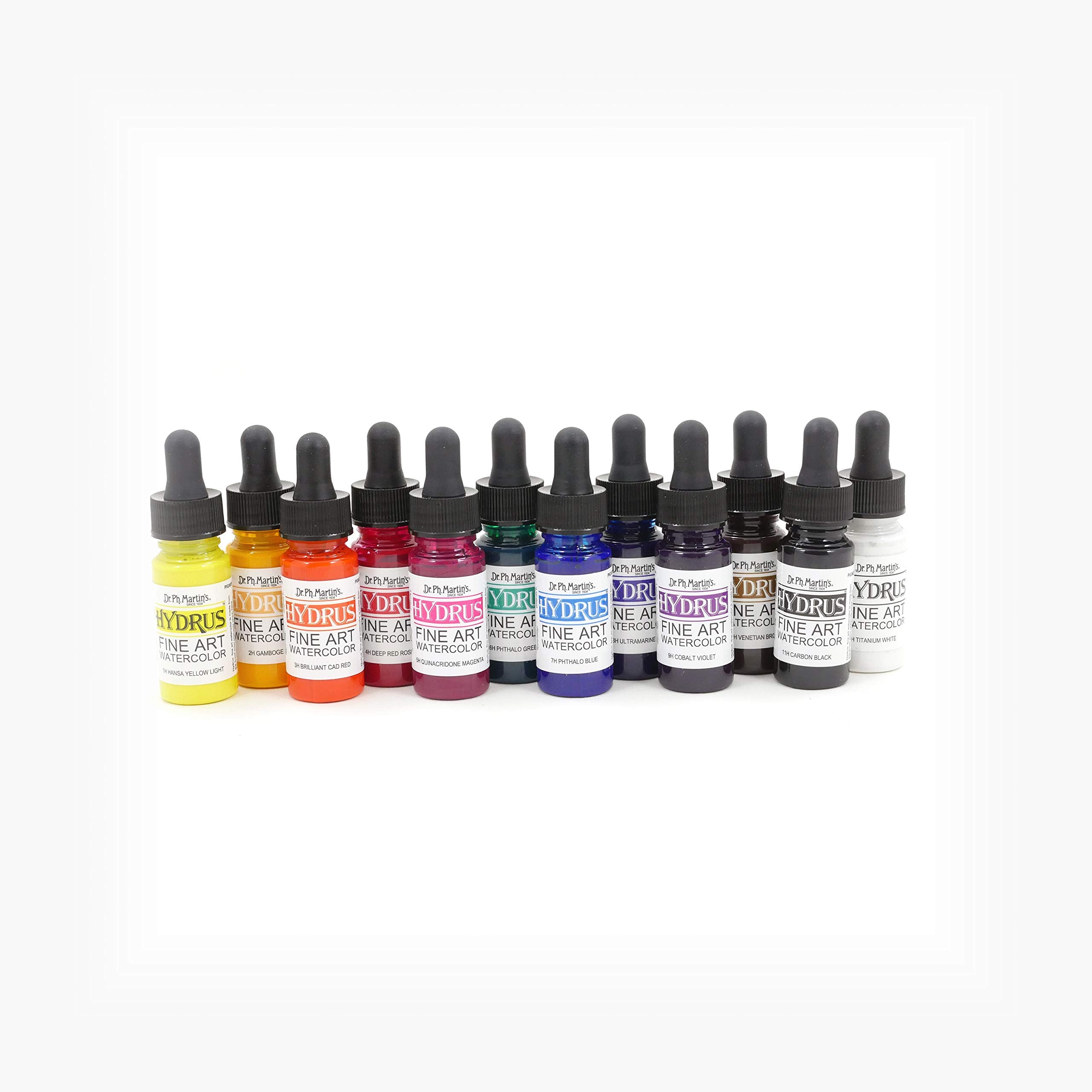 Dr. Ph. Martin's Hydrus Liquid Watercolor Set - 12 Fine Art Colors