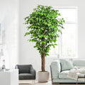 Keeplush 6ft Artificial Ficus Tree | Lifelike Silk Plant with Curved Trunks