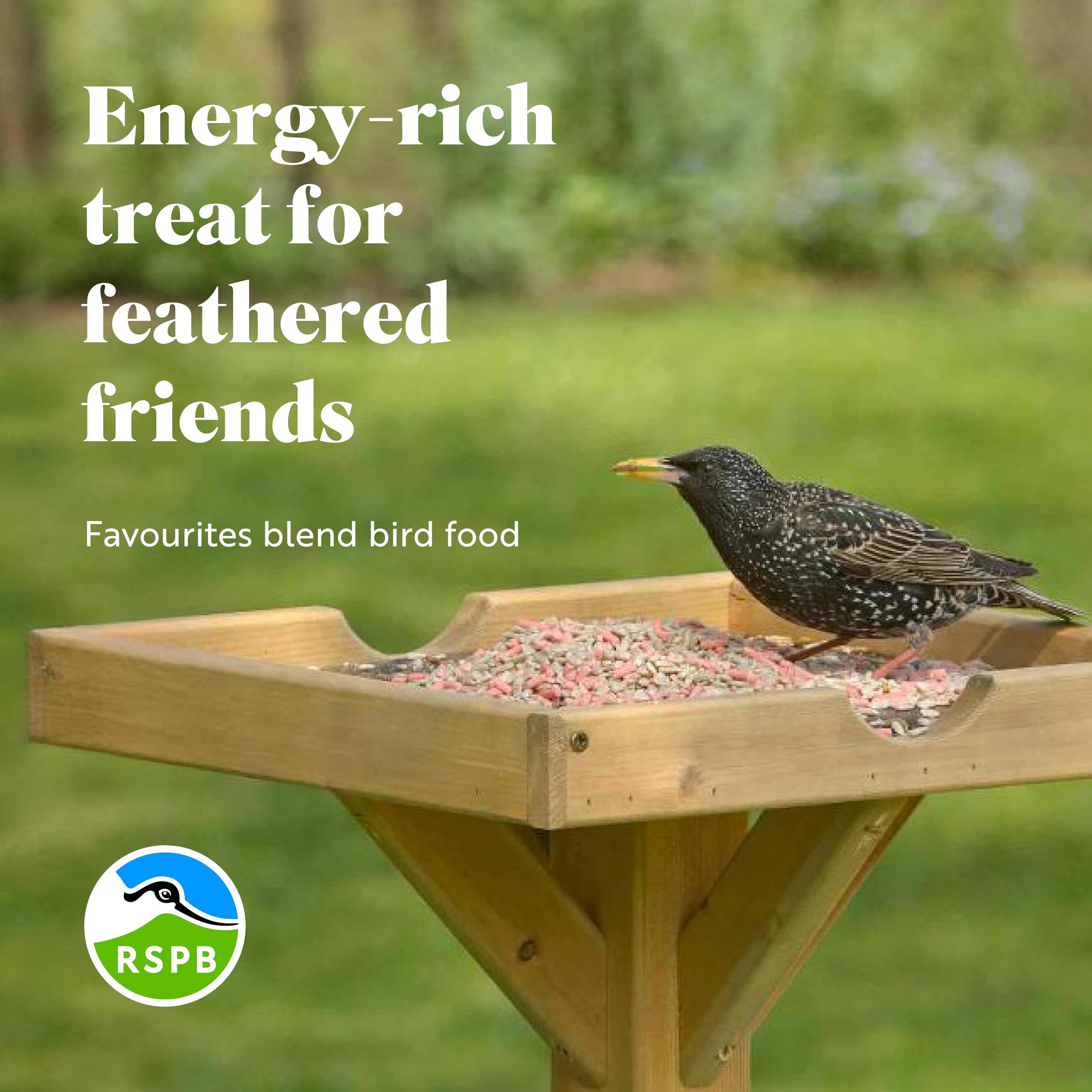 RSPB High Energy Wild Bird Seed Mix with Mealworms & Sunflower Hearts
