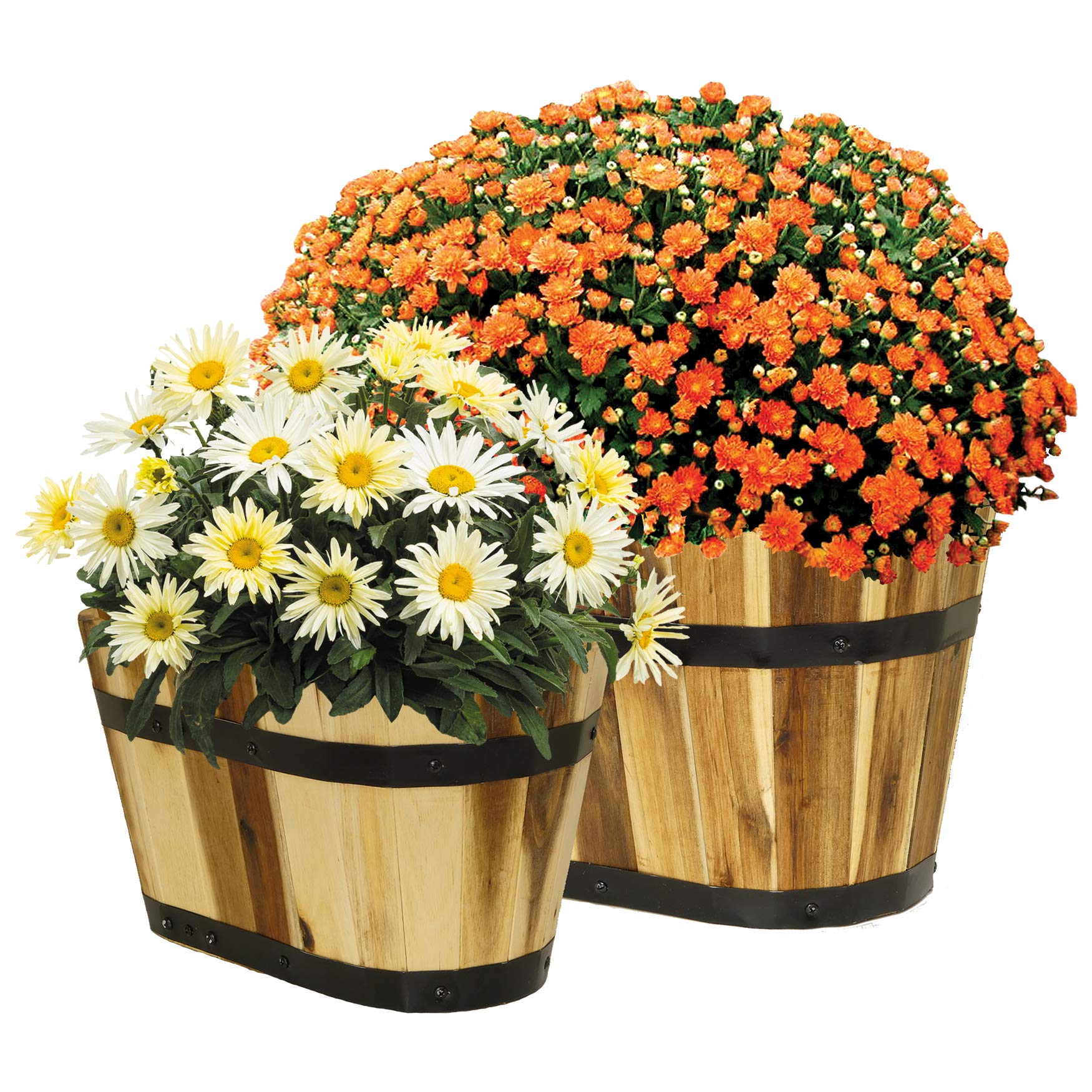 Acacia Wood Barrel Planters with Metal Bands, Set of 2