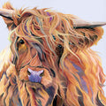 SYMON Highland Cow Stamped Cross Stitch Kit for Adults - 11CT 16x16"