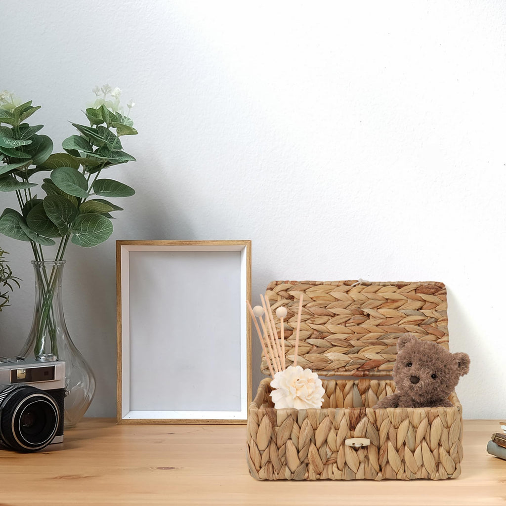 FEIALNDUO Wicker Shelf Baskets with Lid, Seagrass Storage Hamper Basket Bins Rectangular Box for Home Desktop Organizer Natural, X-Small