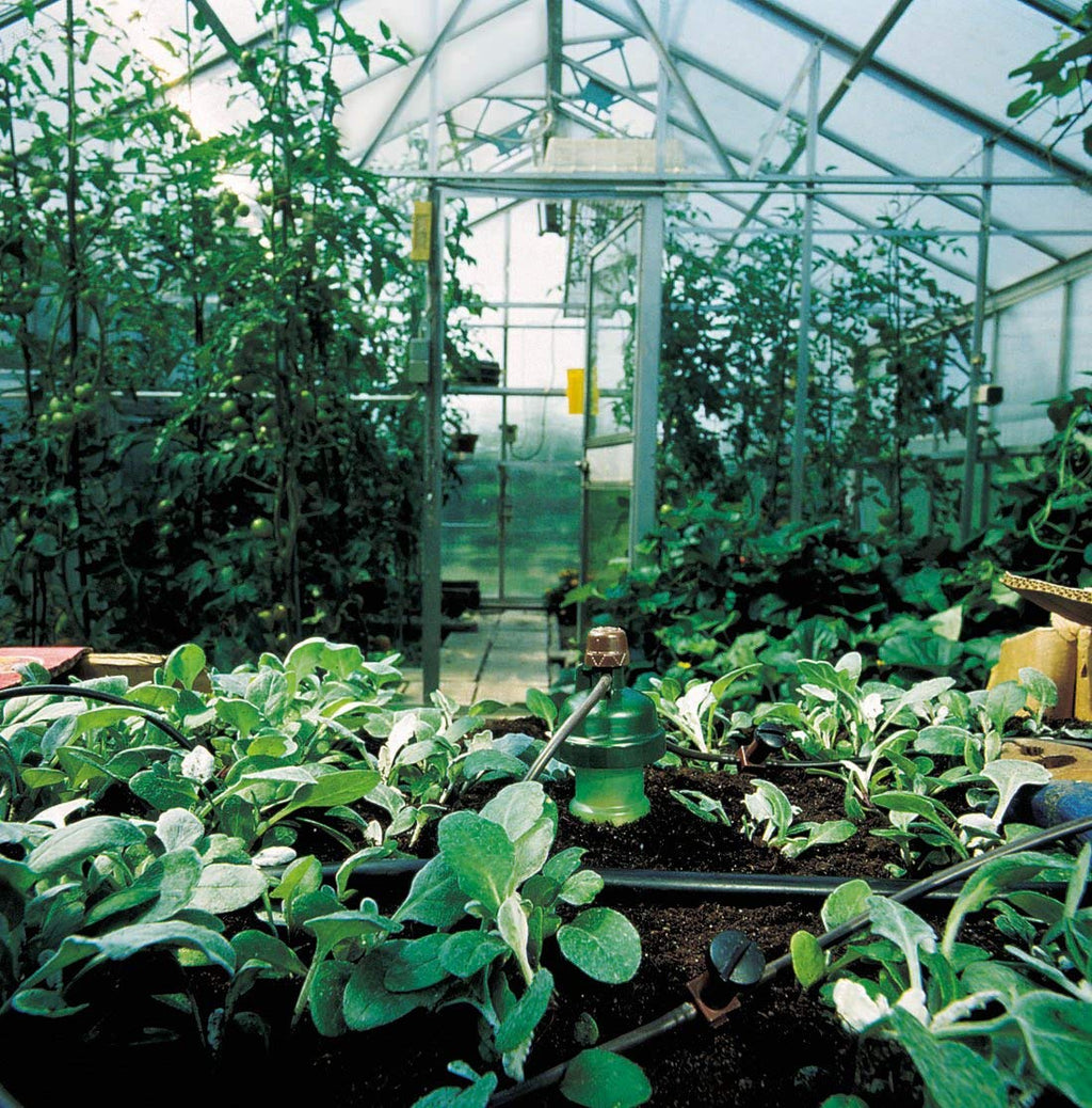 Blumat Medium Automatic Gravity Irrigation Kit for 12 Plants