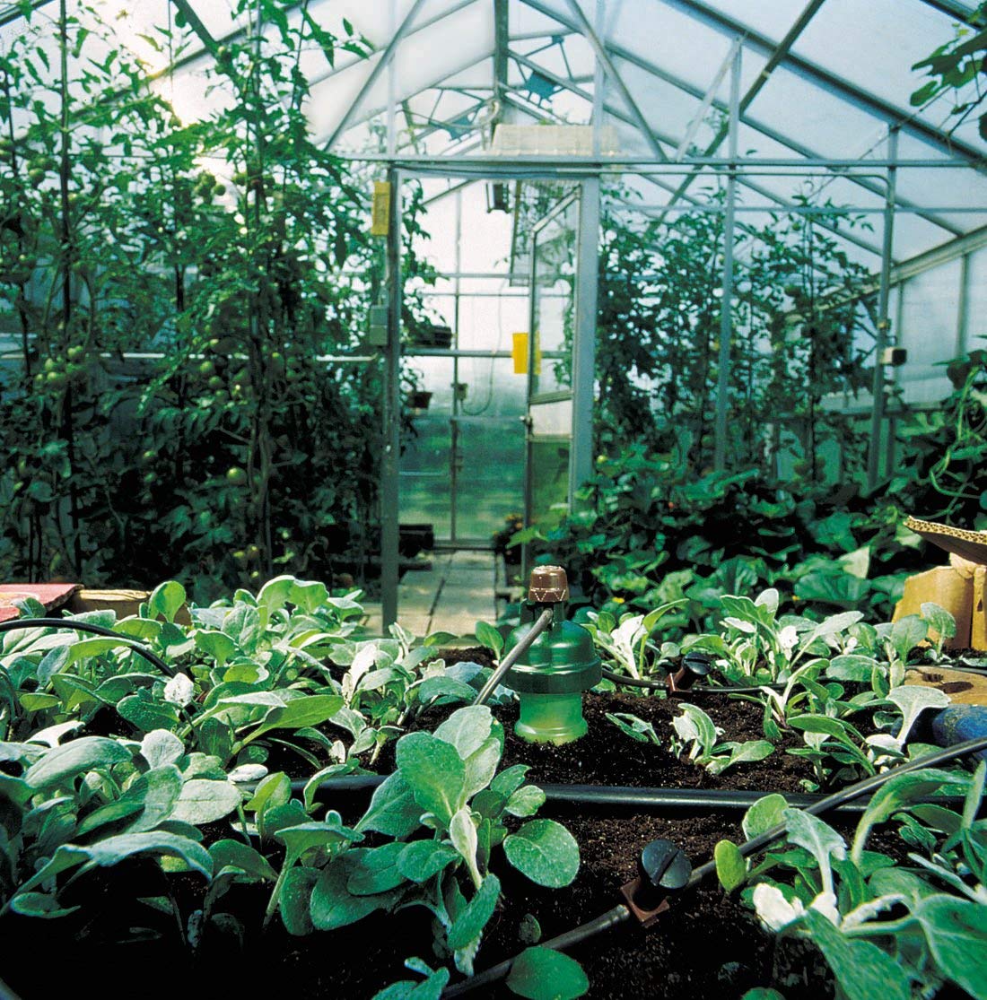 Blumat Medium Automatic Gravity Irrigation Kit for 12 Plants