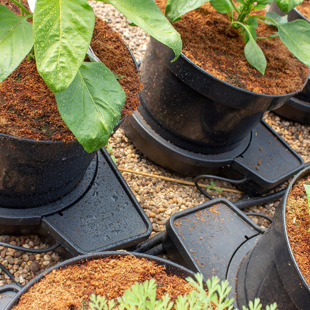 PLANT IT GoGro Automatic Watering System | 2 Plant Kit with 15L Pots