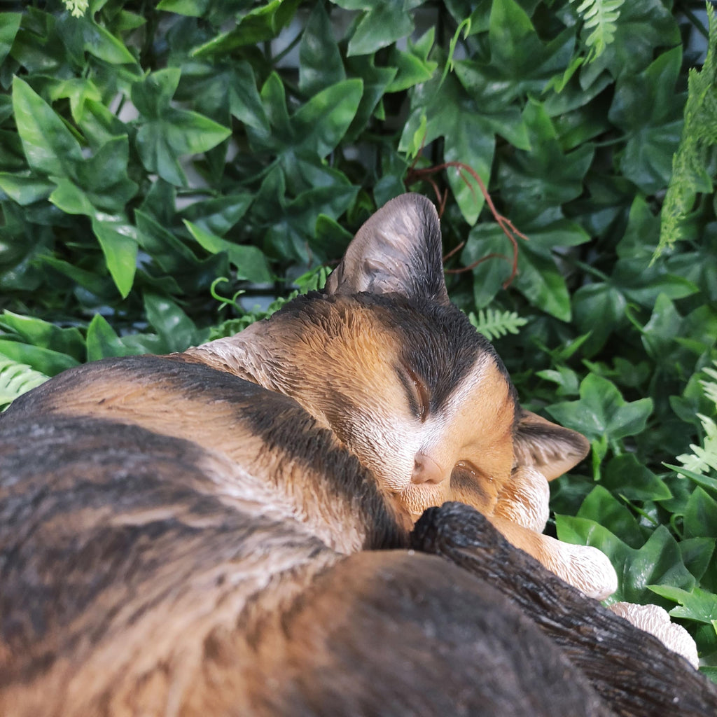 Vivid Arts Sleeping Tortoiseshell Cat Ornament – Lifelike Resin Figurine