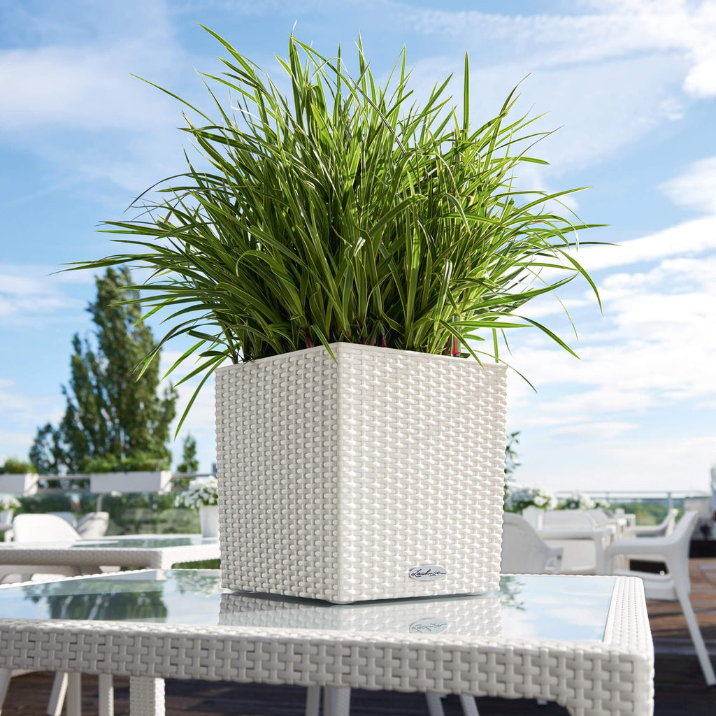 Lechuza CUBE Cottage 30 Self-Watering Square Planter - White Rattan