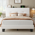 Feonase Double Platform Bed Frame | Velvet Upholstered with Charging