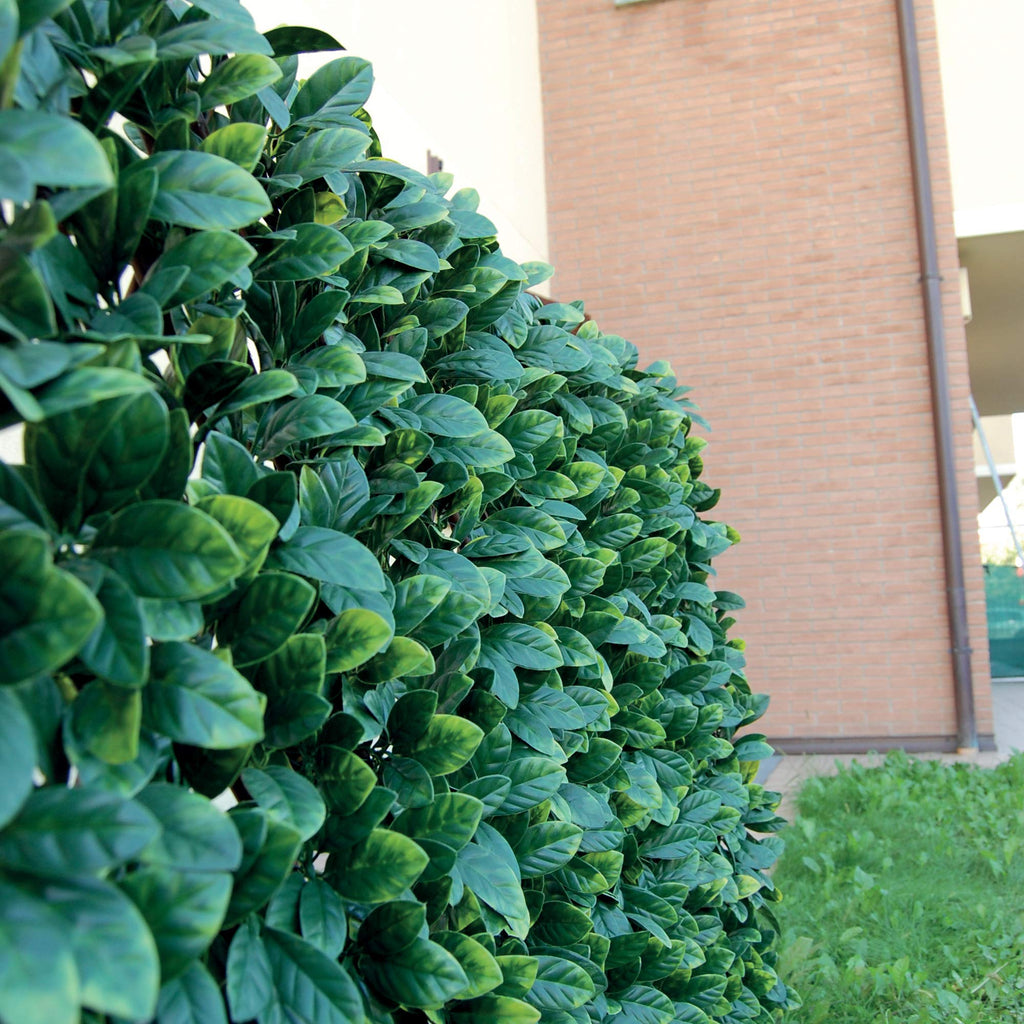 Tenax Synthetic Osmanthus Hedge on Extendible Wood Trellis - 1x2m Green