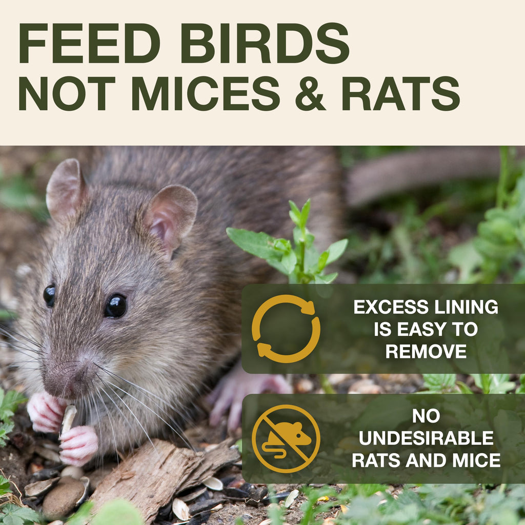 Jolof Store Lucerne Smart Bird Feeder – Rat Proof Hanging No Mess Station