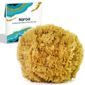 Naroa Natural Sea Sponge – XL Unbleached Exfoliating Body Scrubber