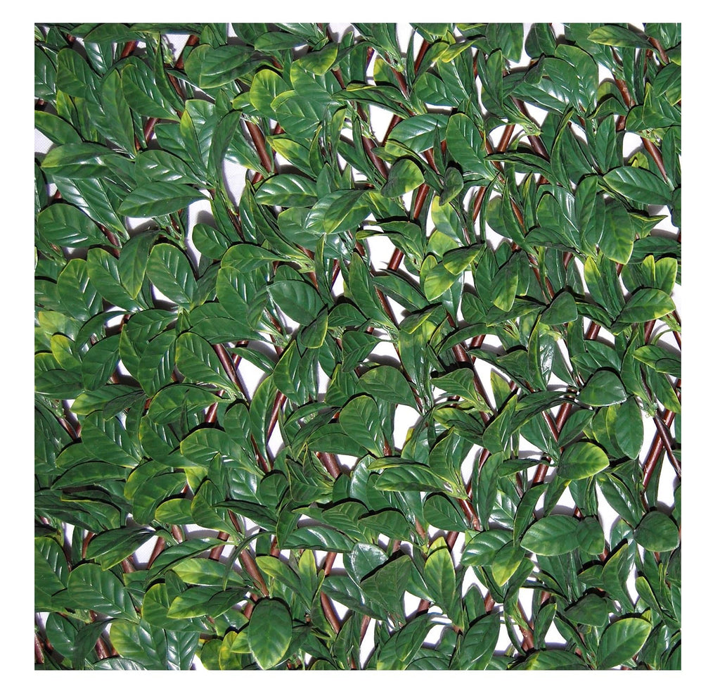 Tenax Synthetic Osmanthus Hedge on Extendible Wood Trellis - 1x2m Green