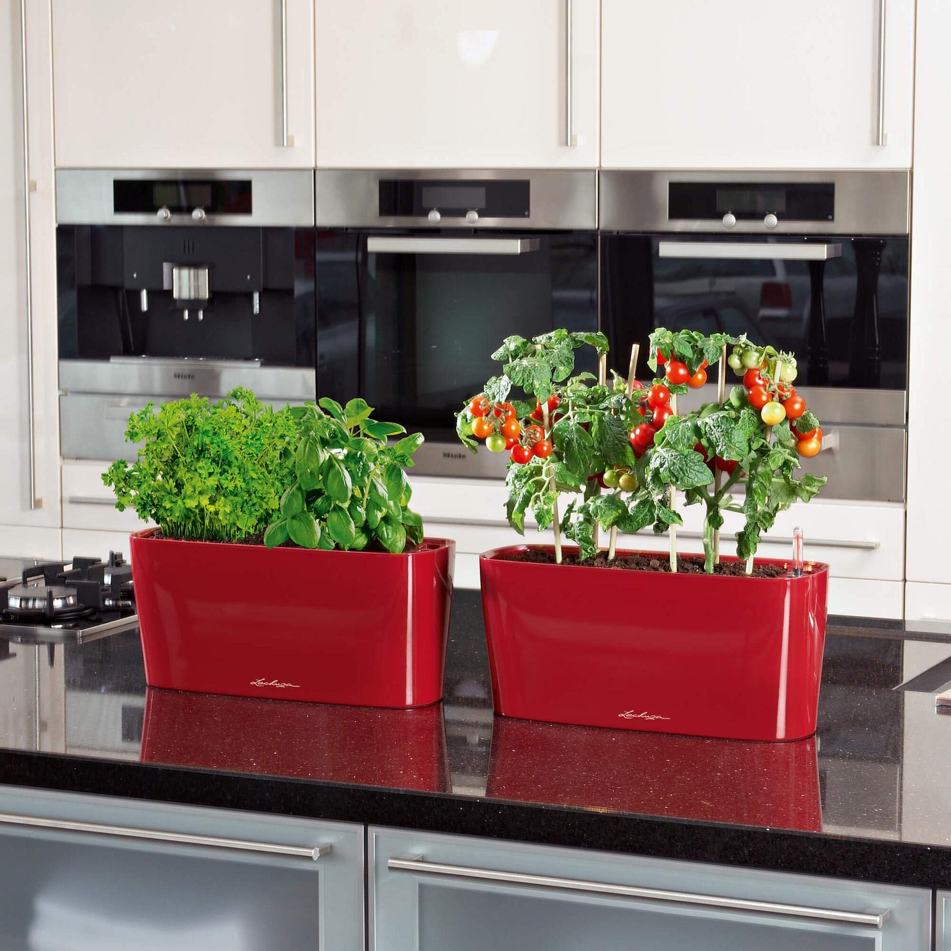 Lechuza Delta 20 Self-Watering Indoor Herb Planter - Shiny Taupe Plastic