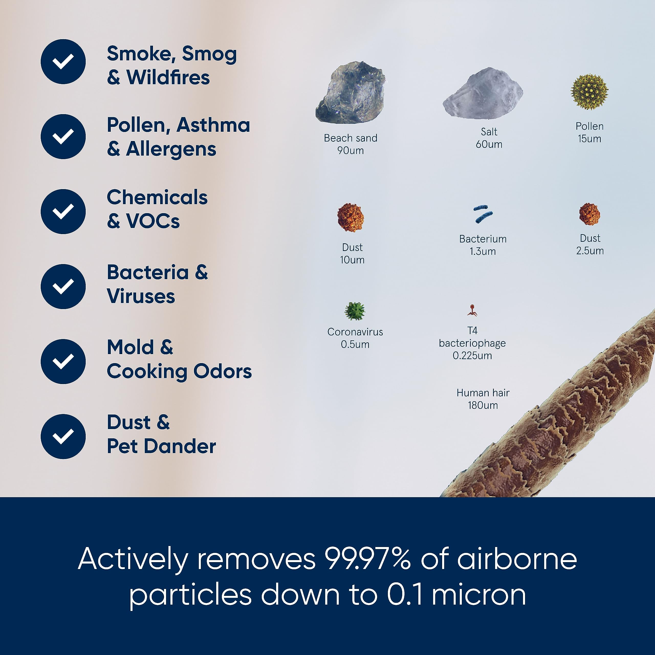 Blueair Blue Pure 511 Air Purifier | HEPASilent Filter for Rooms up to 38m²
