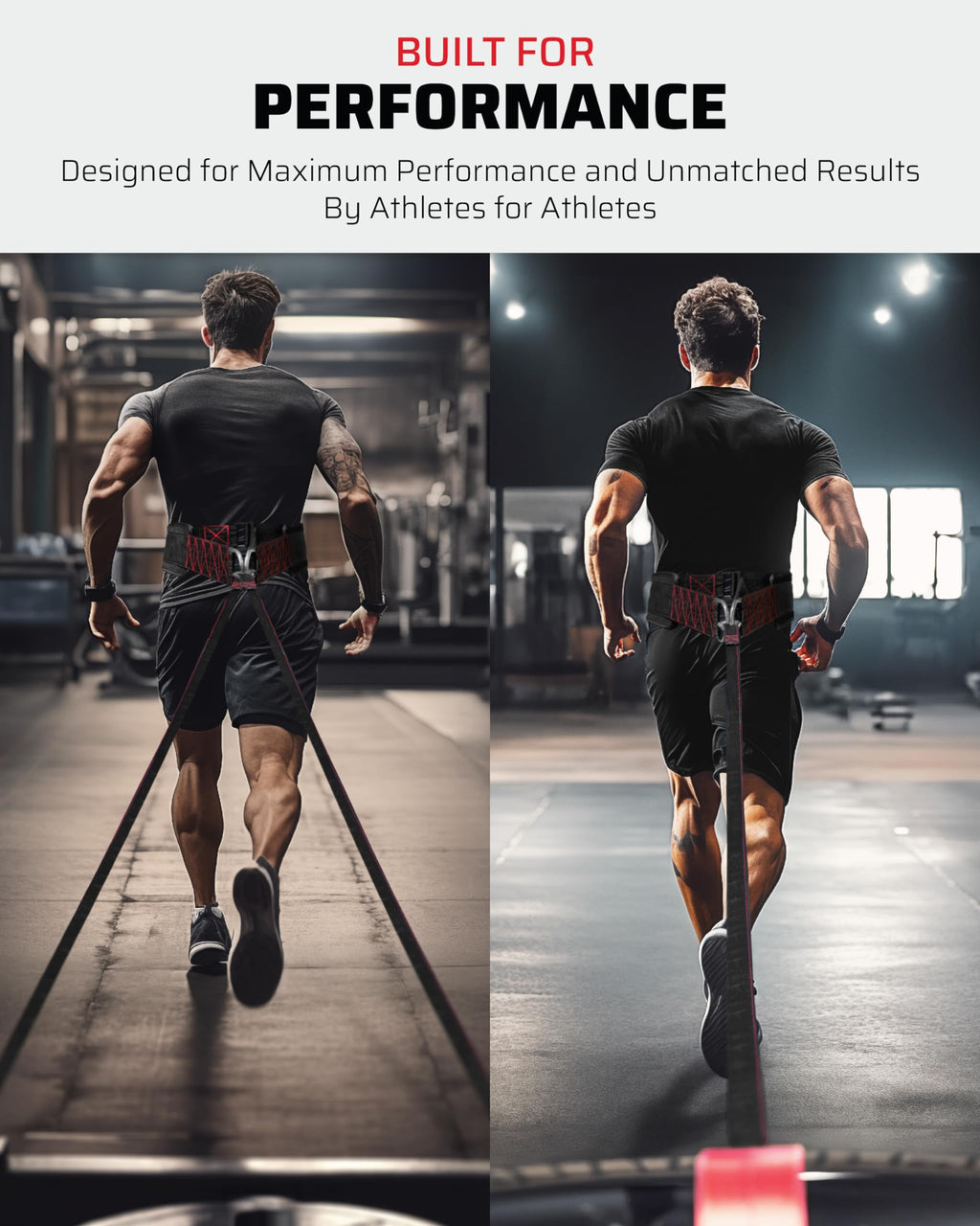 Jolof Store Pulling Belt | Strength Training Harness with 4 Hooks