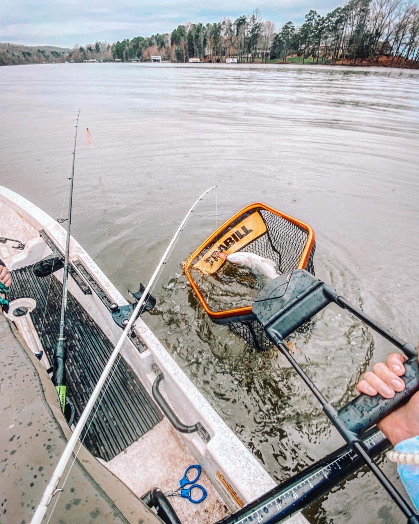 Frabill Trophy Haul Bearclaw Fishing Net | One-Handed Design with Light