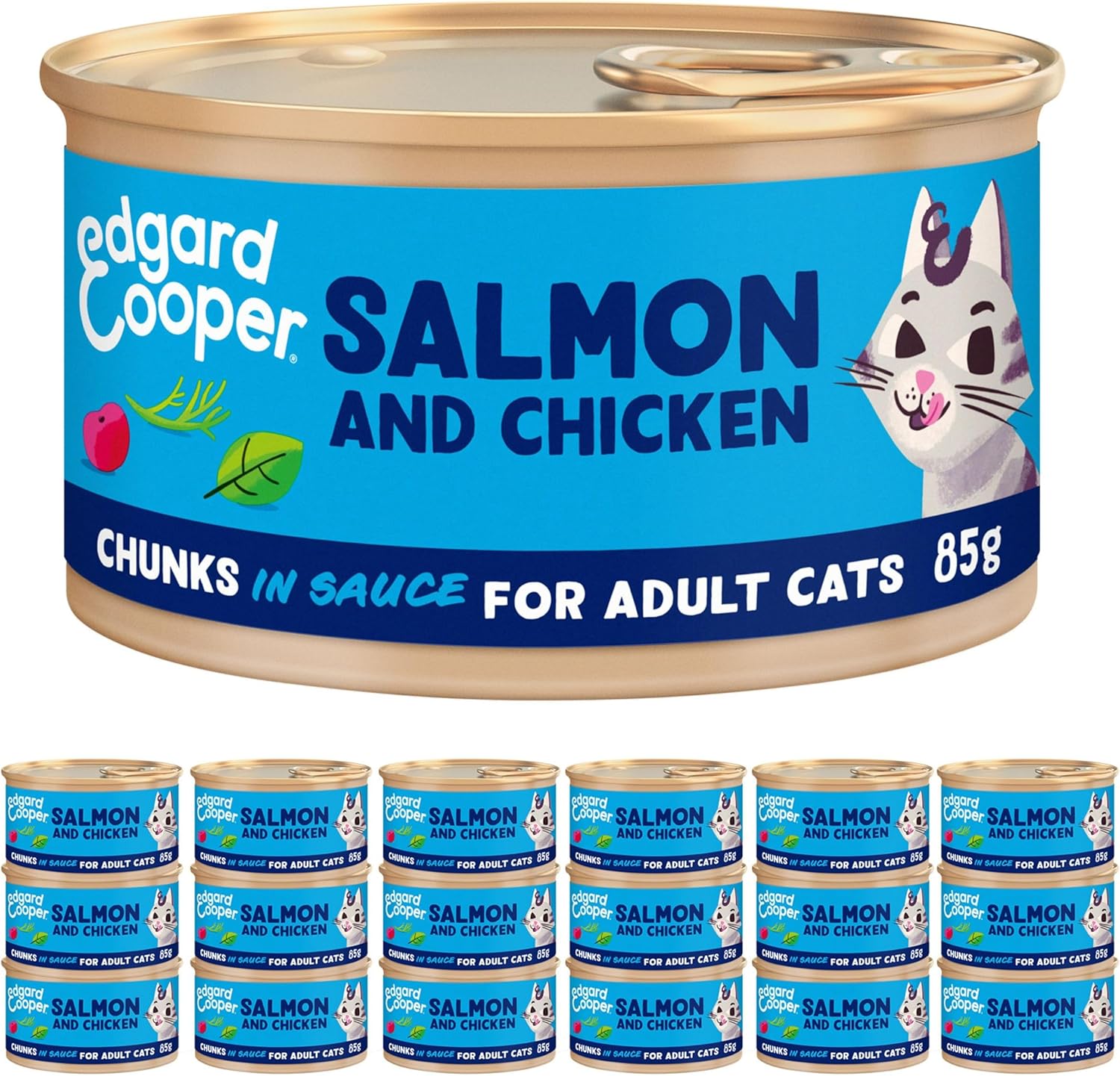 Grain Free Wet Cat Food – Salmon & Chicken (16 x 85g)
