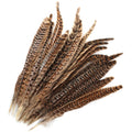 Natural Pheasant Tail Feathers for Crafts – 20pcs (25-30cm)