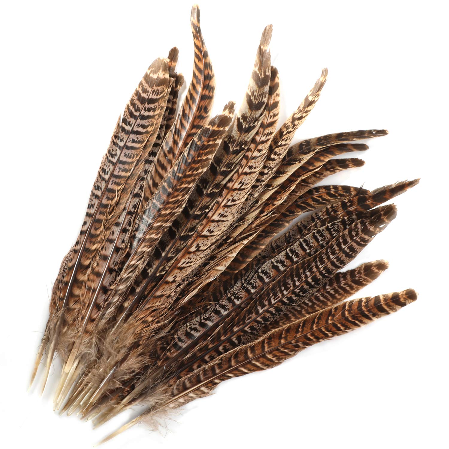 Natural Pheasant Tail Feathers for Crafts – 20pcs (25-30cm)