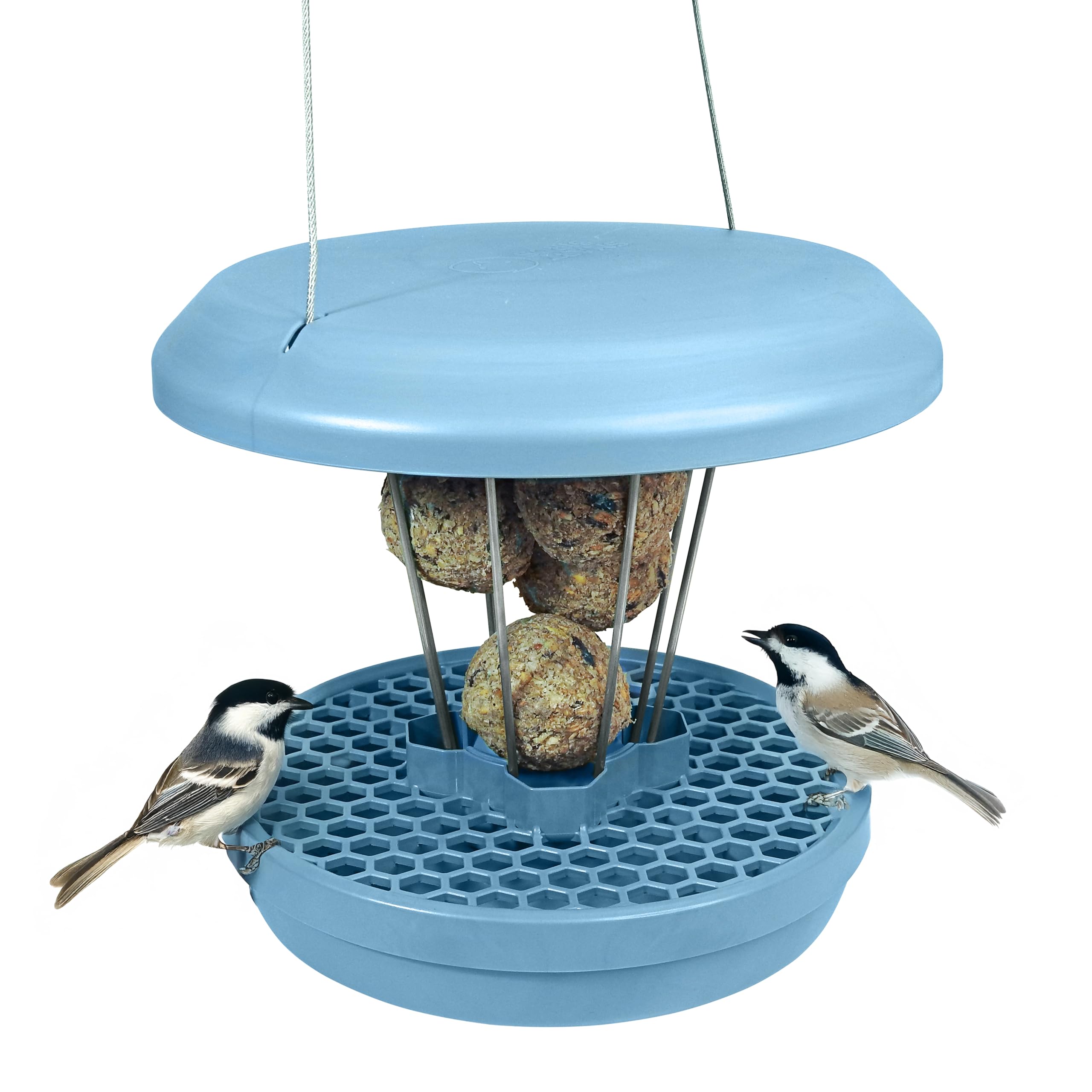 Jolof Store Lucerne Smart Bird Feeder – Rat Proof Hanging No Mess Station