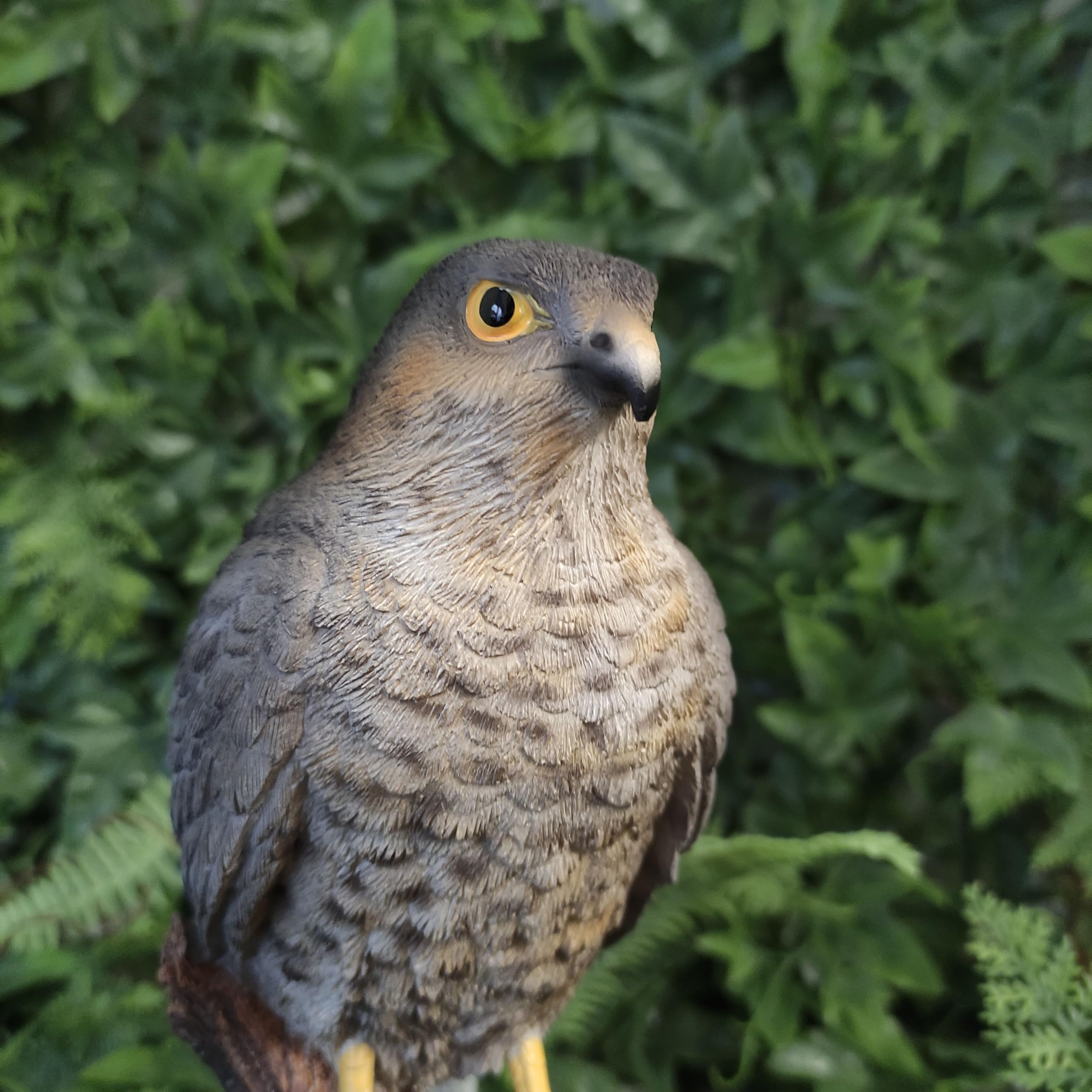 Vivid Arts Sparrow Hawk Garden Ornament - Realistic Resin Bird Sculpture