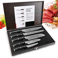 HUIKAILI 5-Piece Professional Kitchen Knife Set with Wooden Gift Box