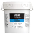 Liquitex Professional Clear Gesso Surface Prep Medium - 3.79L Bottle