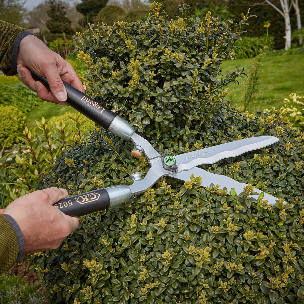 C.K Classic Legend Golden Hedge Shears – Wavy Edge Forged Steel