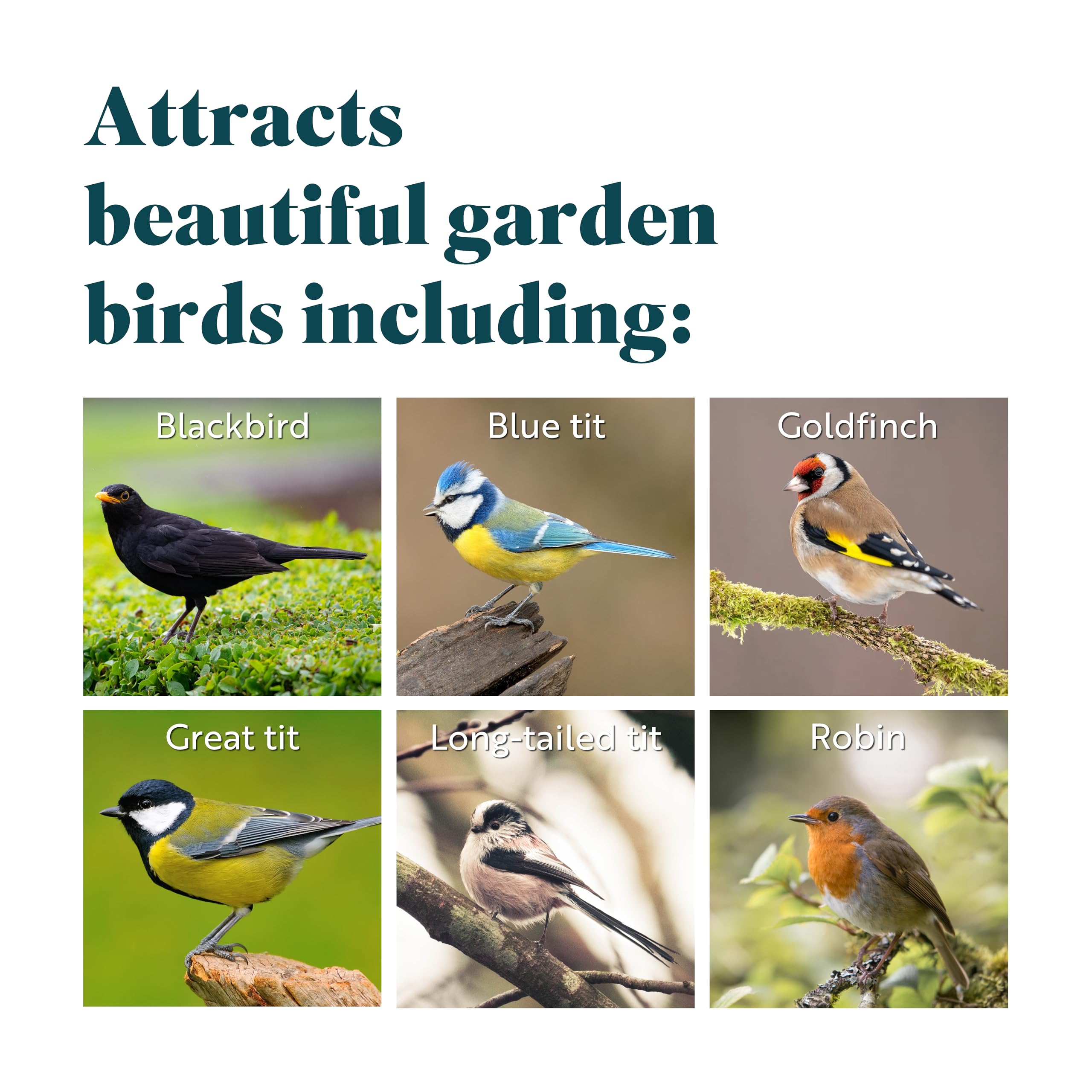 RSPB High Energy Wild Bird Seed Mix with Mealworms & Sunflower Hearts