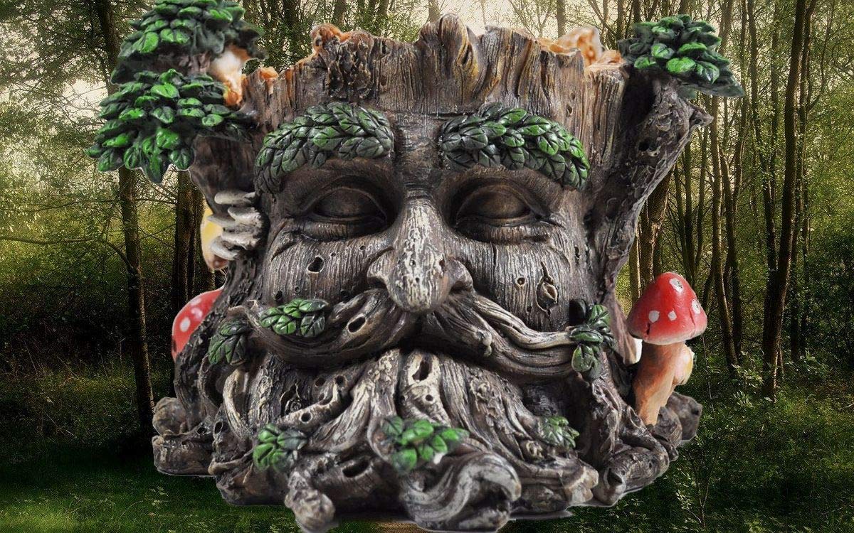 Jolof Store Tree Ent Face Garden Planter | Greenman Polyresin Pot 15cm