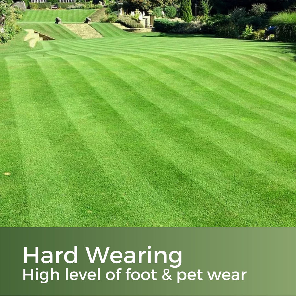 Fast Growing Grass Seed – 5kg Pet Friendly Lawn Repair