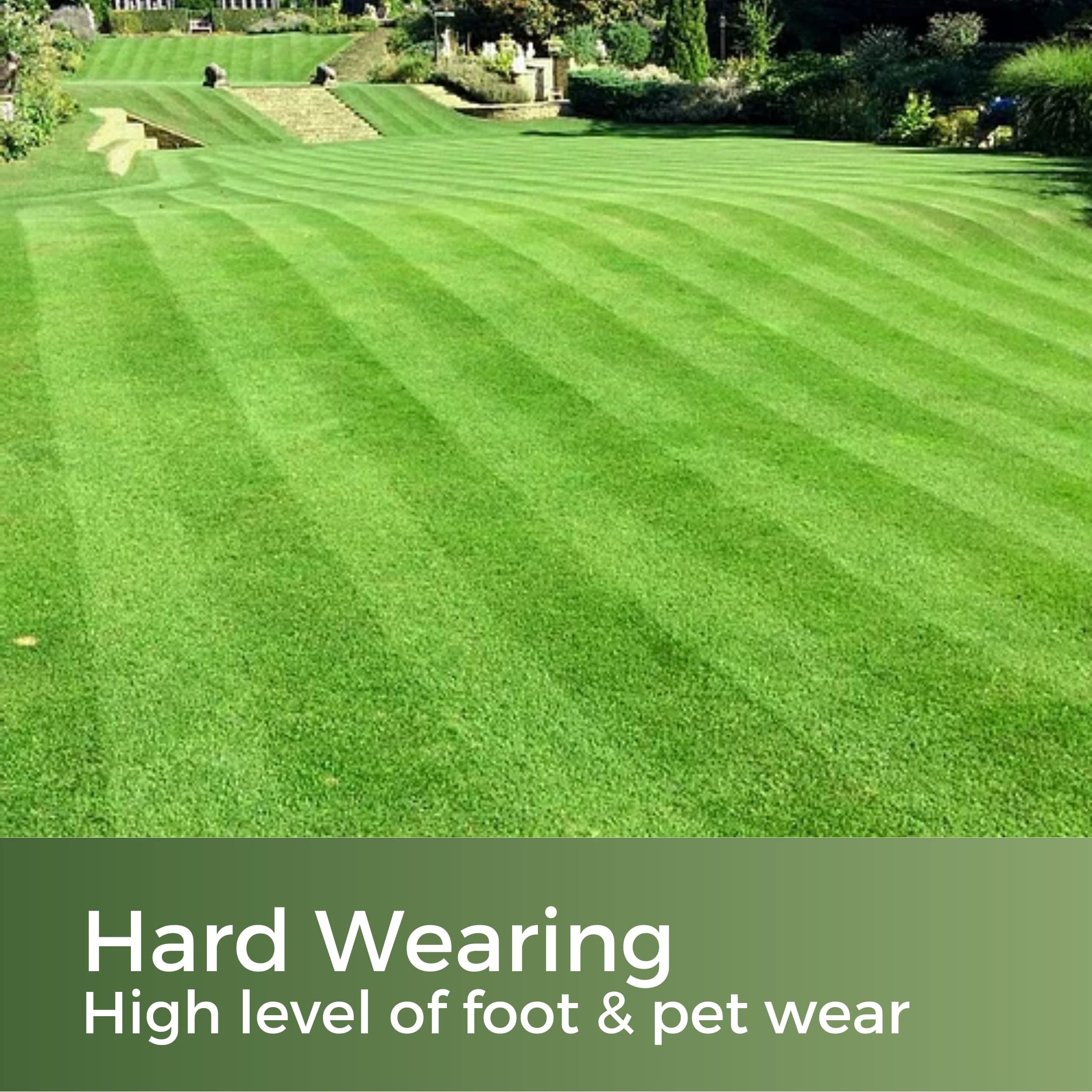 Fast Growing Grass Seed – 5kg Pet Friendly Lawn Repair