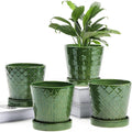 Jolof Store 5-Inch Ceramic Plant Pots with Drainage Hole and Tray – 4 Pack