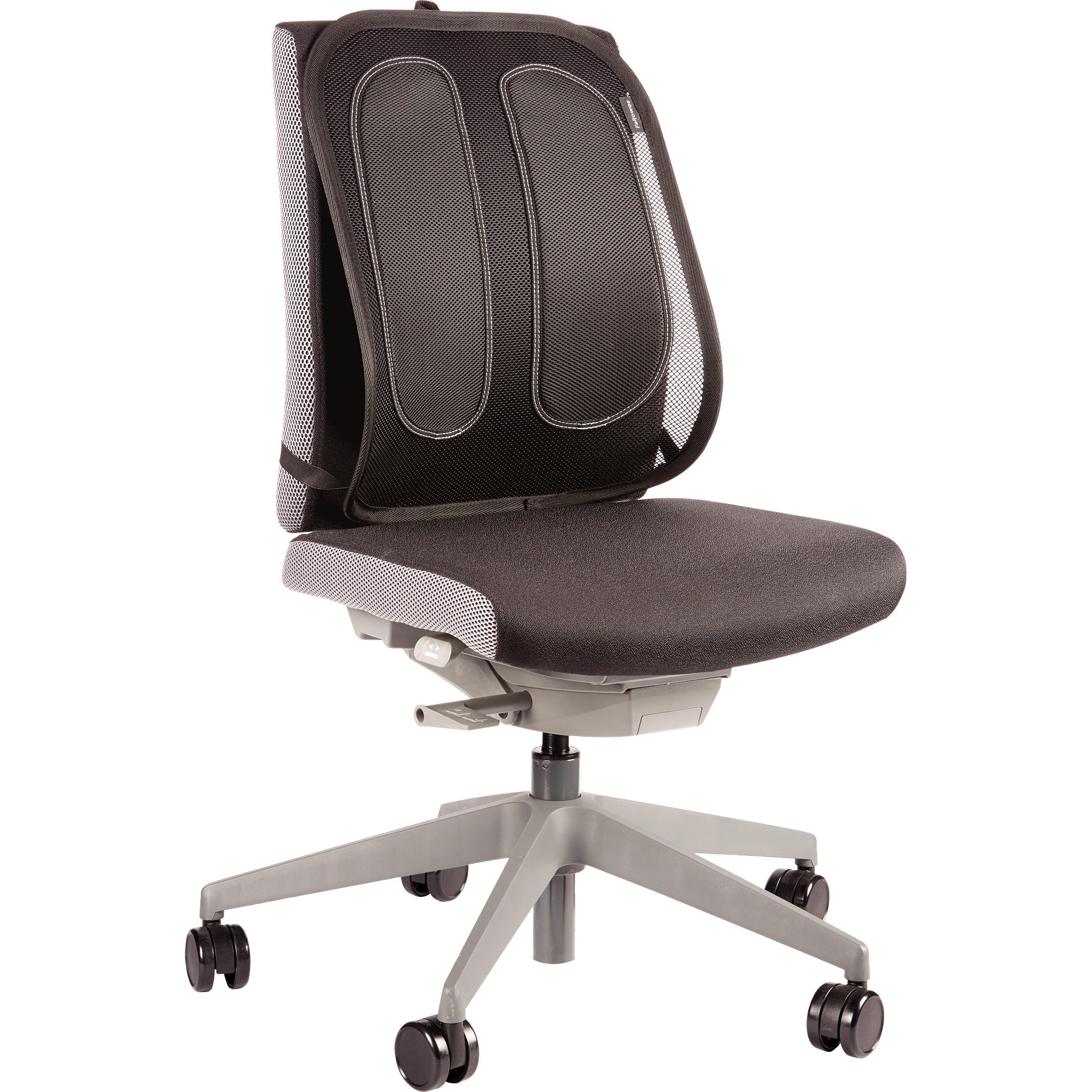 Fellowes Suites Mesh Back Support – Ergonomic Office Chair Lumbar, Graphite
