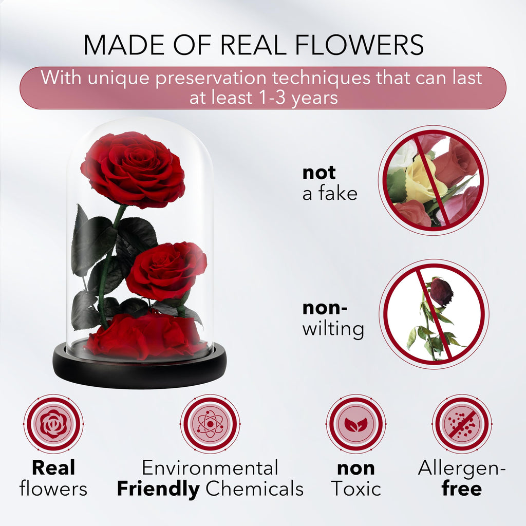 LOVAPPY Preserved Eternal Rose in Glass Dome – Infinity Flower Gift